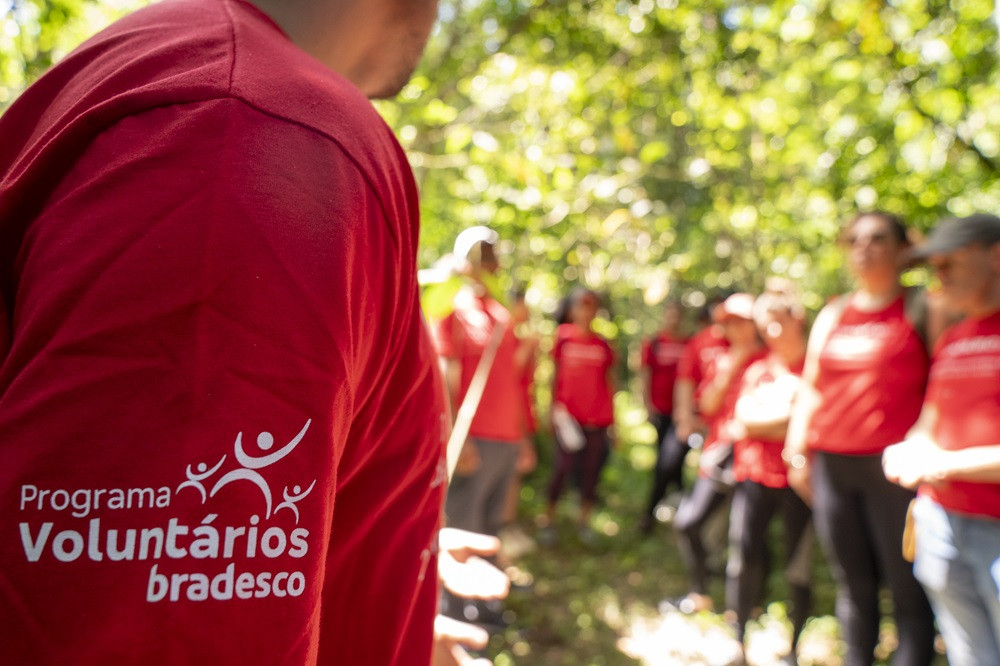 Bradesco promove ação de voluntariado na Mata Atlântica: Voluntários em Prol do Ambiente | Destaque do Mês