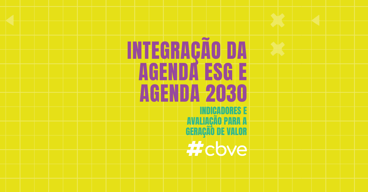 Integração da Agenda ESG e Agenda 2030: indicadores e avaliação para a geração de valor